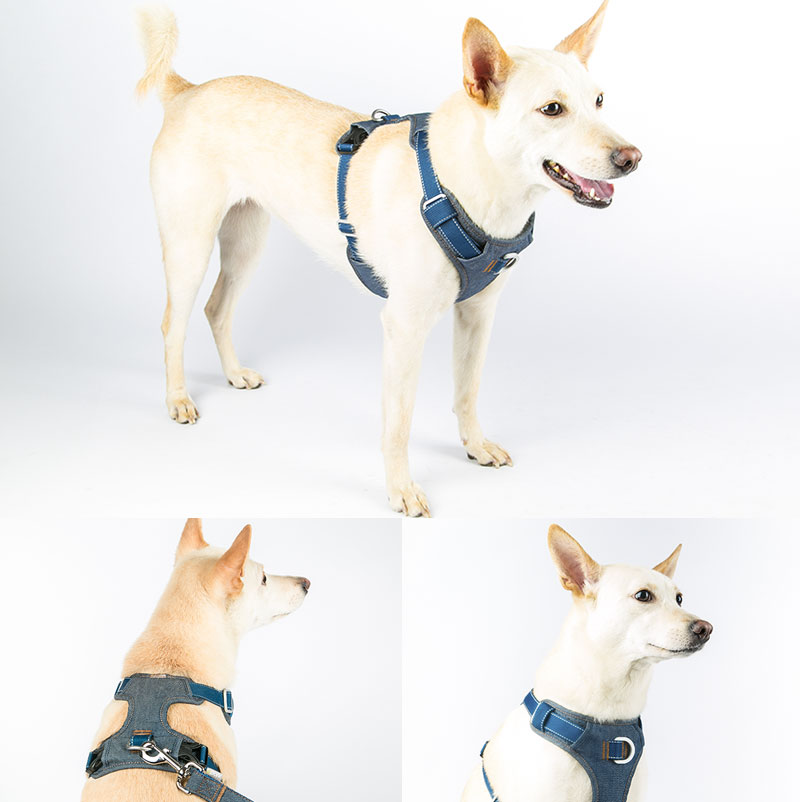 Air Fit Front-Clip Dog Harness