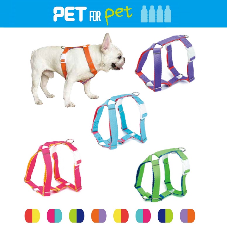 PET H-Harness