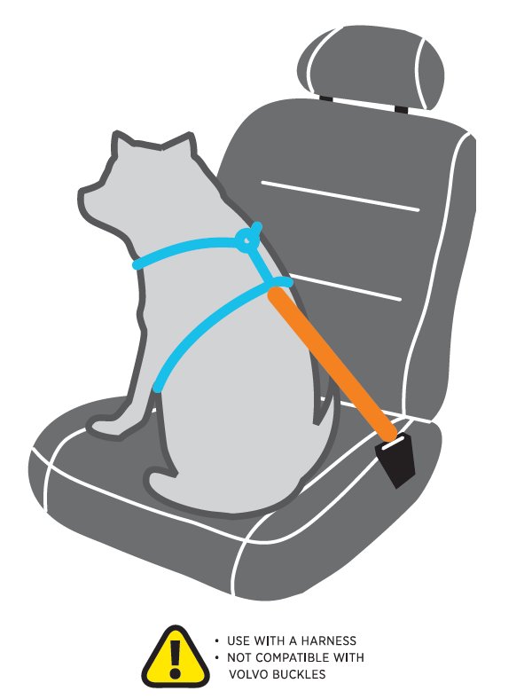 PET Dog Seat Belt