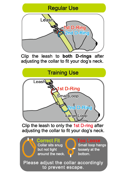 ppark i-Series Martingale Dog Collar