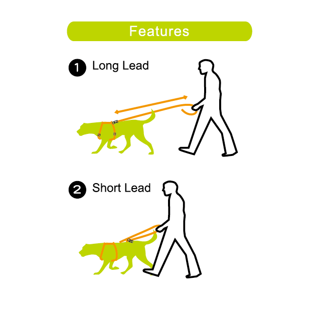 2-way Leash